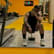 allankmessi's Avatar